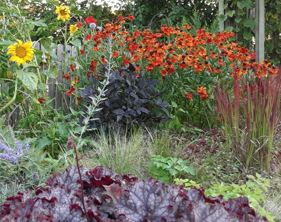 Achtertuin kleurrijk