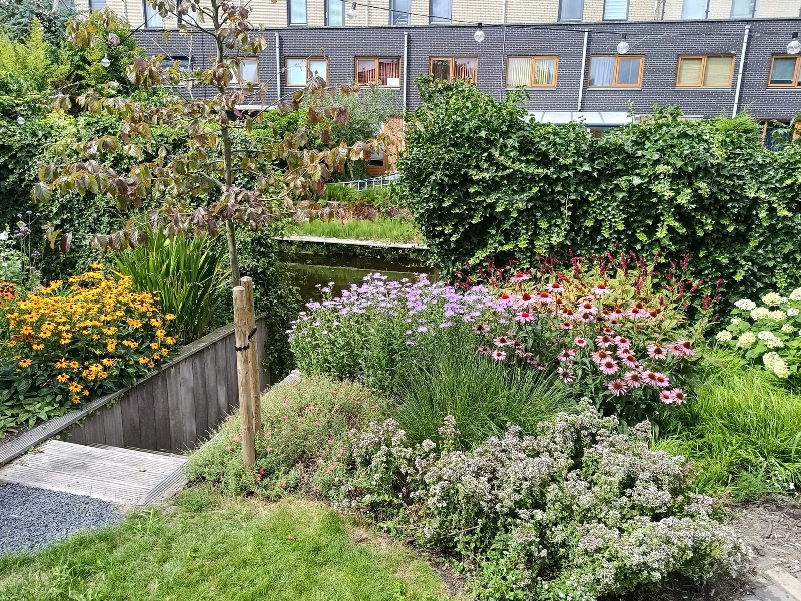 IMG20250728120031 (002)