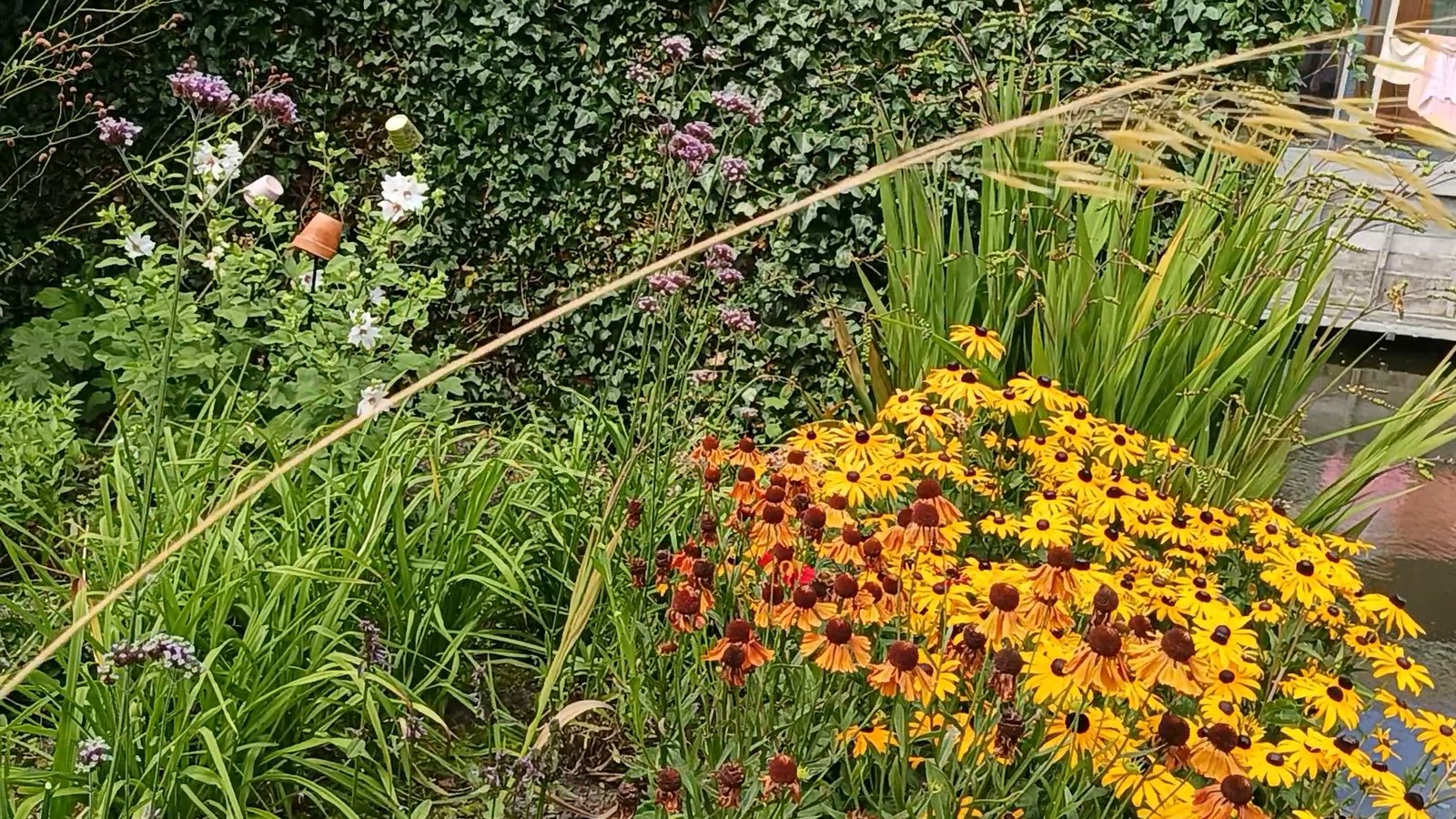 IMG_20251217_11222799