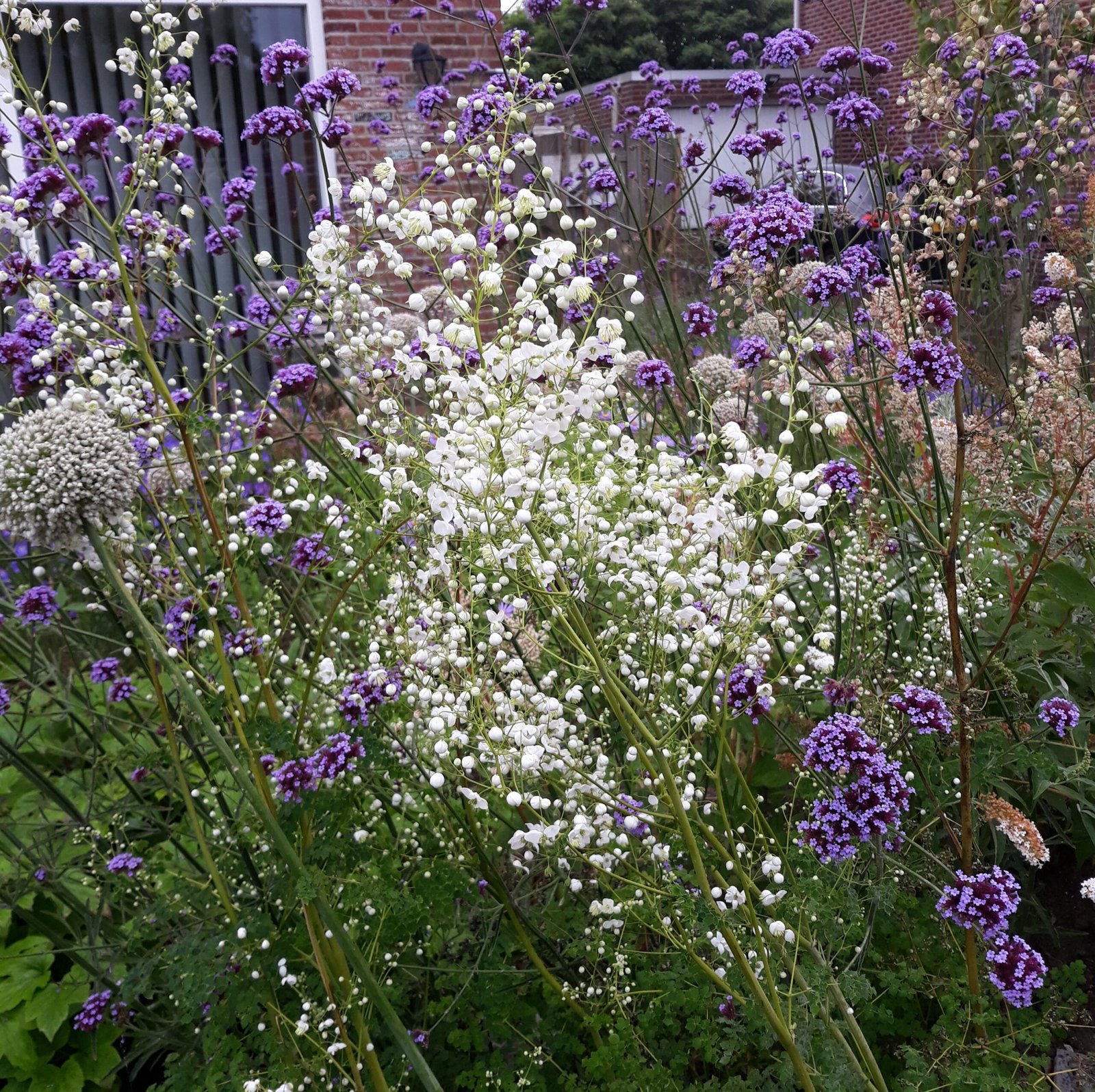 Voortuin tweekleurig