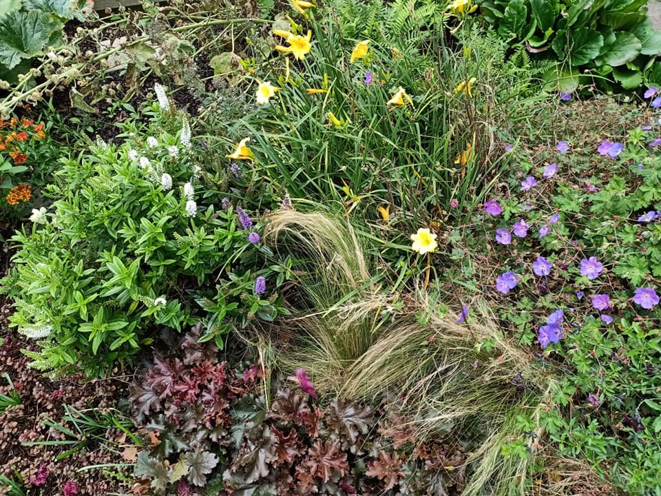 voortuin oktober -01