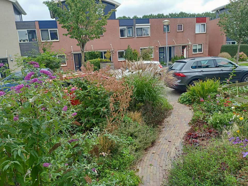 voortuin oktober -03